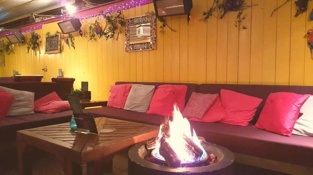 Hotel Dolores Ameland Нес Екстер'єр фото